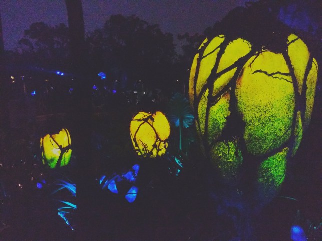 34730071750_d337dcb70b_k