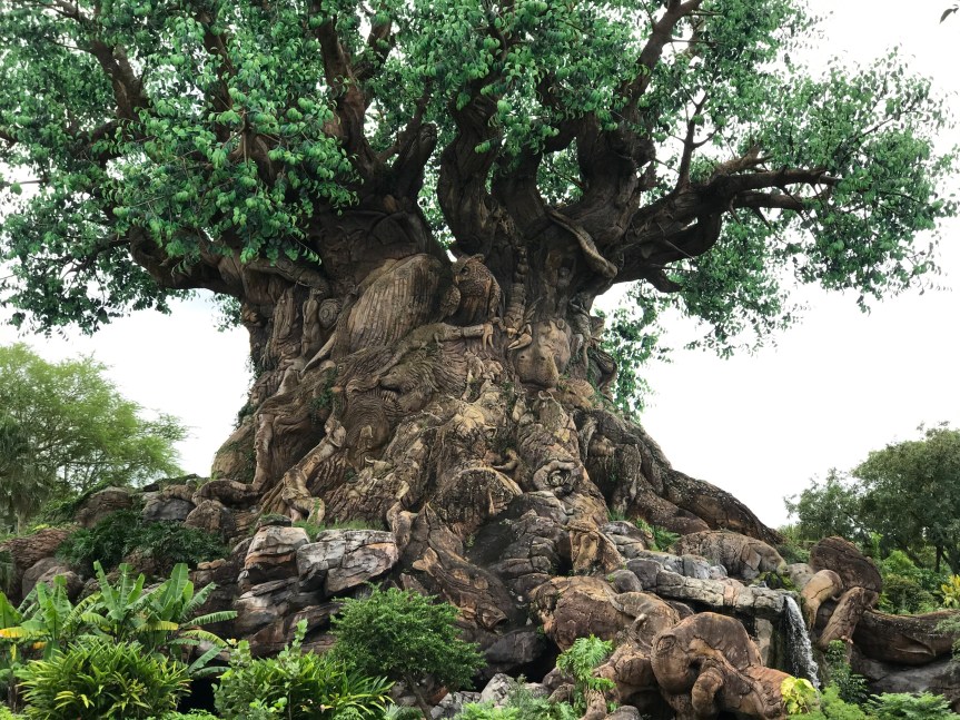 The Skinny on the Walt Disney World Theme&nbsp;Parks